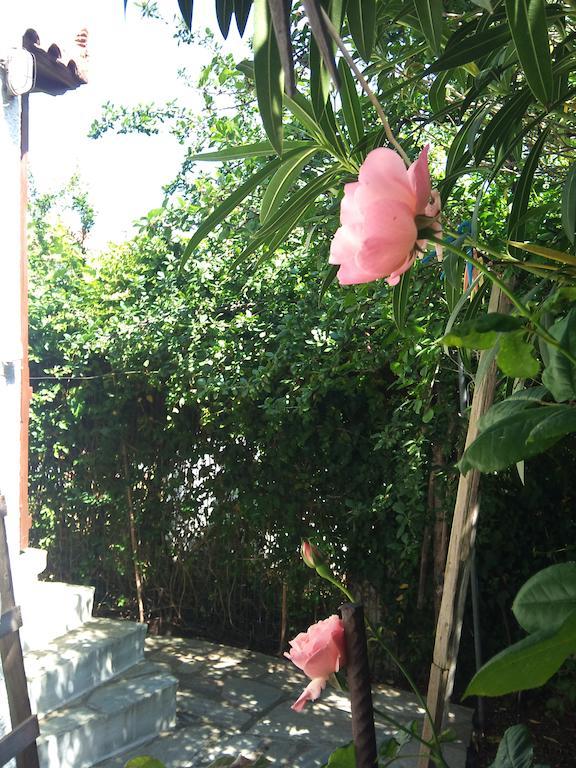 Kyriaki Otel Skopelos Dış mekan fotoğraf