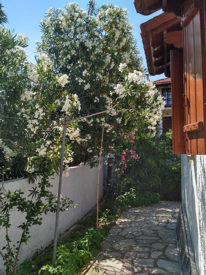 Kyriaki Otel Skopelos Dış mekan fotoğraf