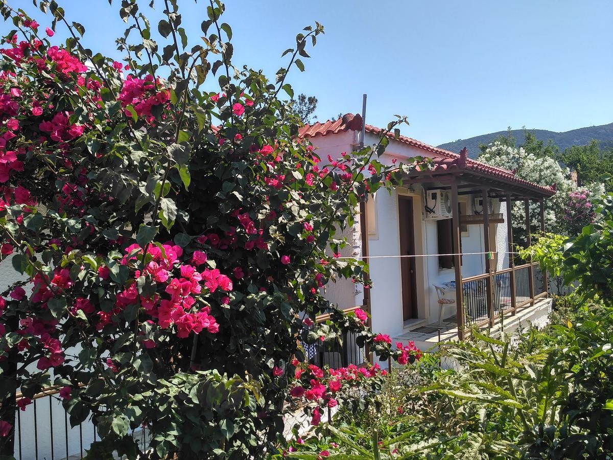 Kyriaki Otel Skopelos Dış mekan fotoğraf